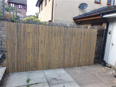 Picture 21